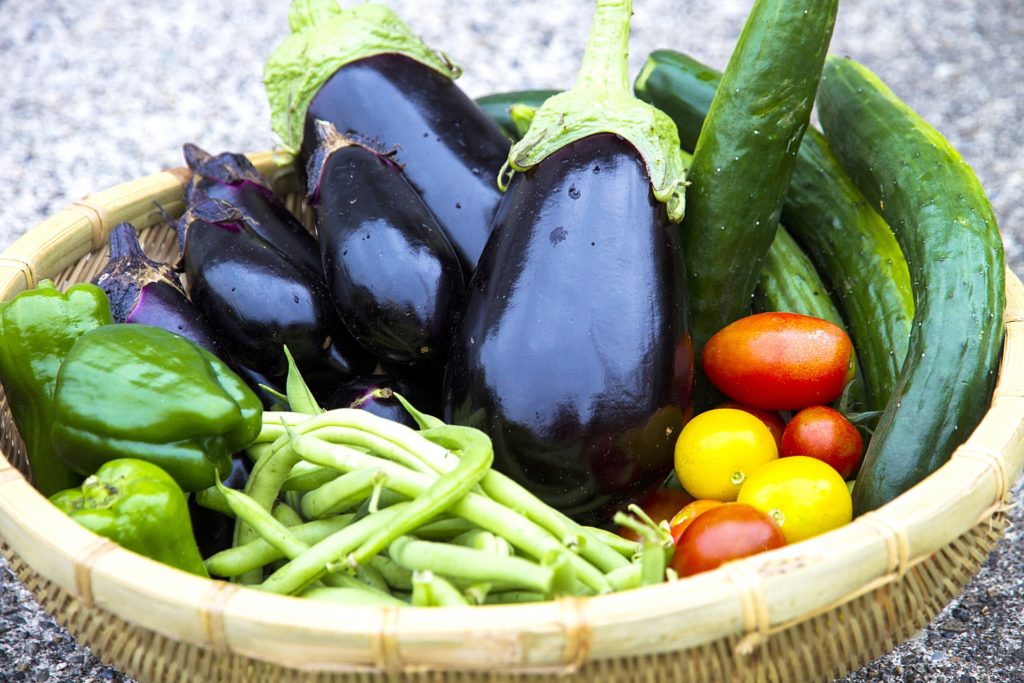 収穫した野菜